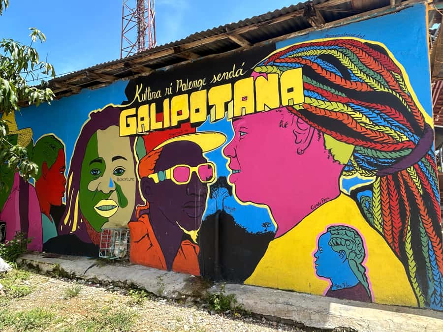 Cartagena:San Basilio de Palenque private DayTrip with Lunch - Key points to know before booking
