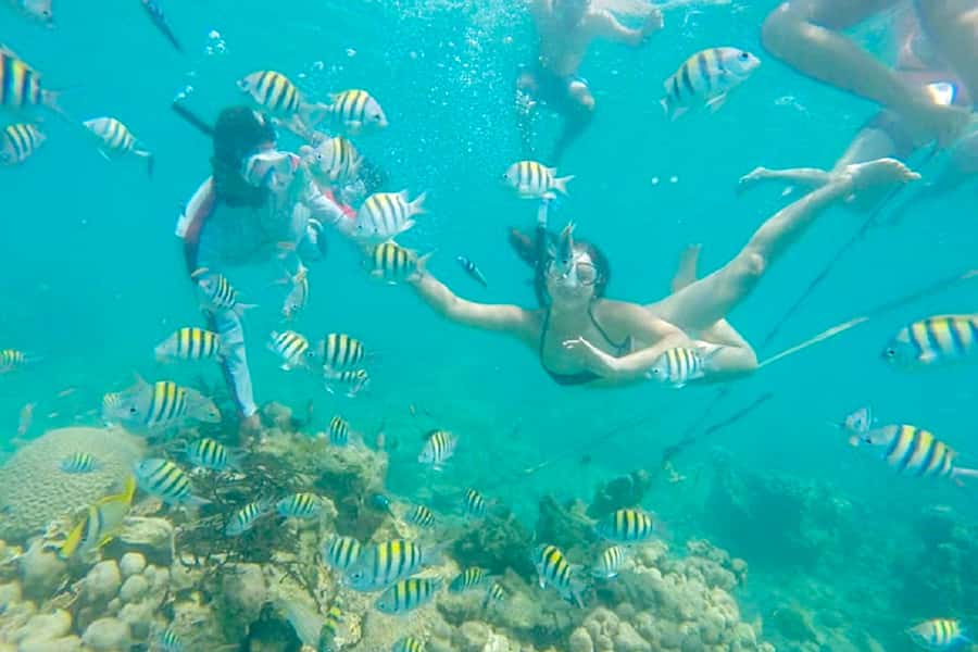 Cartagena: Snorkel, Mangroves and Playa Blanca Tour - The day in four useful points