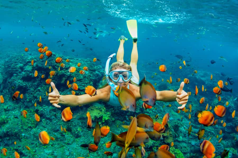 Cartagena: Snorkel, Mangroves and Playa Blanca Tour - Snorkeling near Baru: beautiful when conditions cooperate