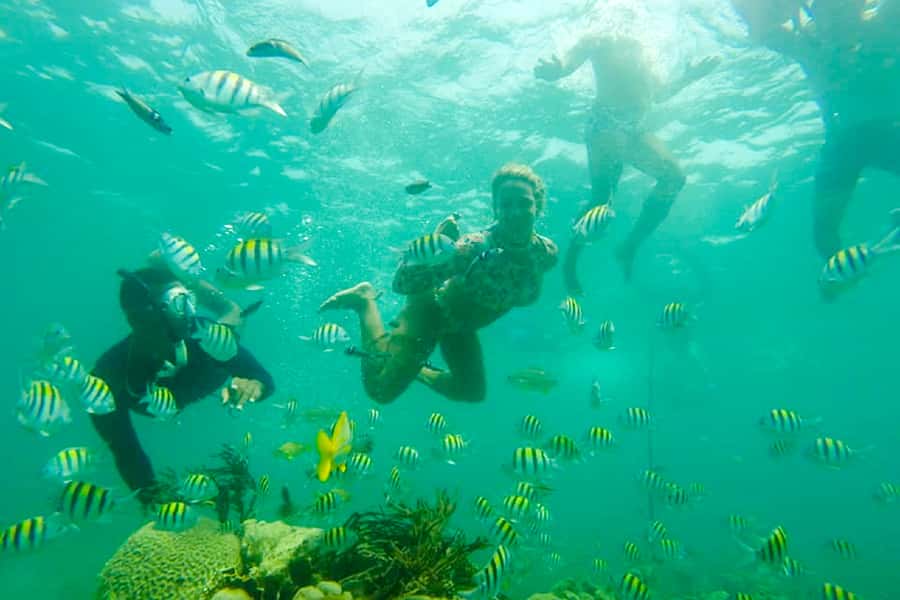 Cartagena: Snorkel, Mangroves and Playa Blanca Tour - Lunch at Playa Blanca