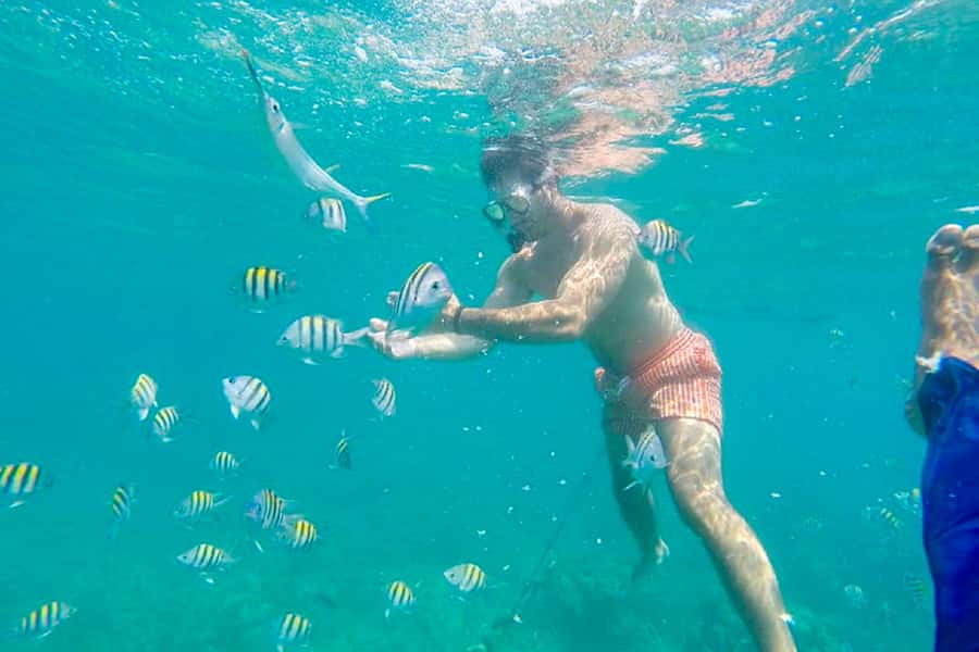Cartagena: Snorkel, Mangroves and Playa Blanca Tour - Guides, language, and the rhythm of the day