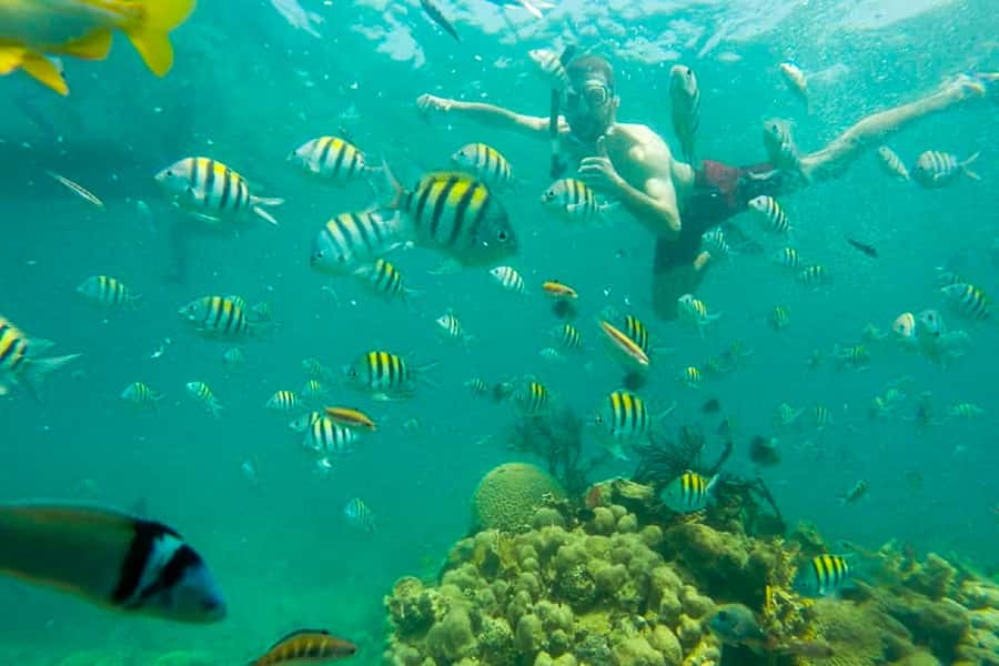 Cartagena: Snorkel, Mangroves and Playa Blanca Tour - Value, comfort, and who should book