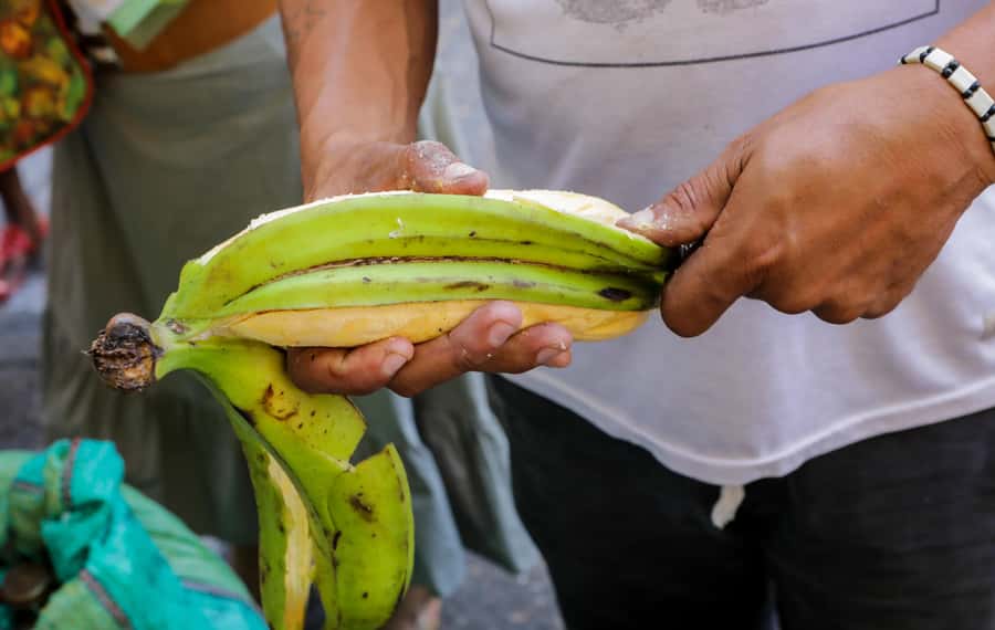 Cartagena: Street Food Walking Tour - Learning about Cartagena’s fried food festival
