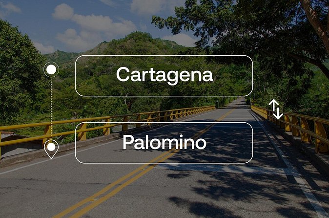 Cartagena to or from Palomino Private Transfer - Who will appreciate this ride most
