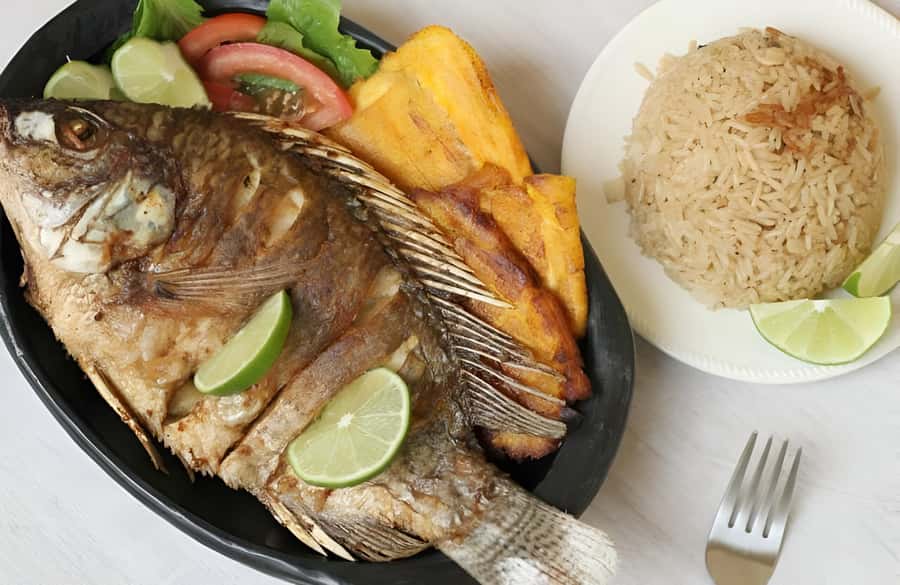 Cartagena: Tour with tour guide to San Basilio de Palenque - Is $115 a fair price?
