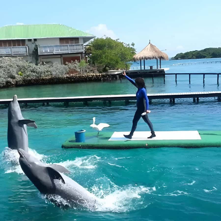 Cartagena: Visit 4 islands in a speedboat + plankton! - Tranquila Beach and the included lunch