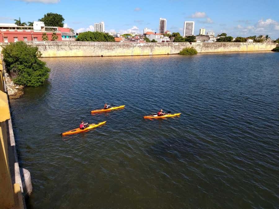 Cartagena: Walled City Kayak Tour - Who should book this kayak tour?