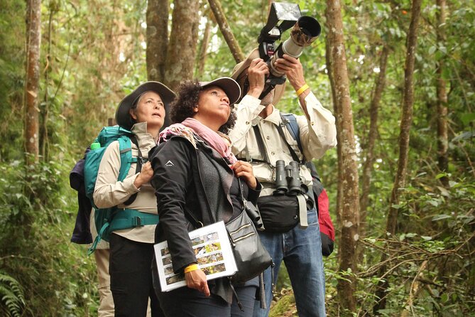 Chicaque Cloud Forest Birding & Birdwatching - Half day - What the $90 price includes