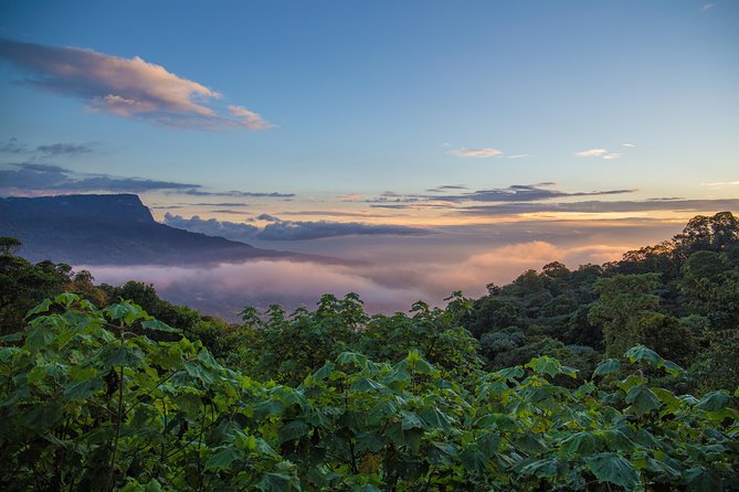 Chicaque Cloud Forest Birding & Birdwatching - Half day - Who will enjoy this most
