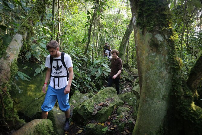 Chicaque Cloud Forest Hike - 4 hours - A four-hour hike with a 300-meter climb