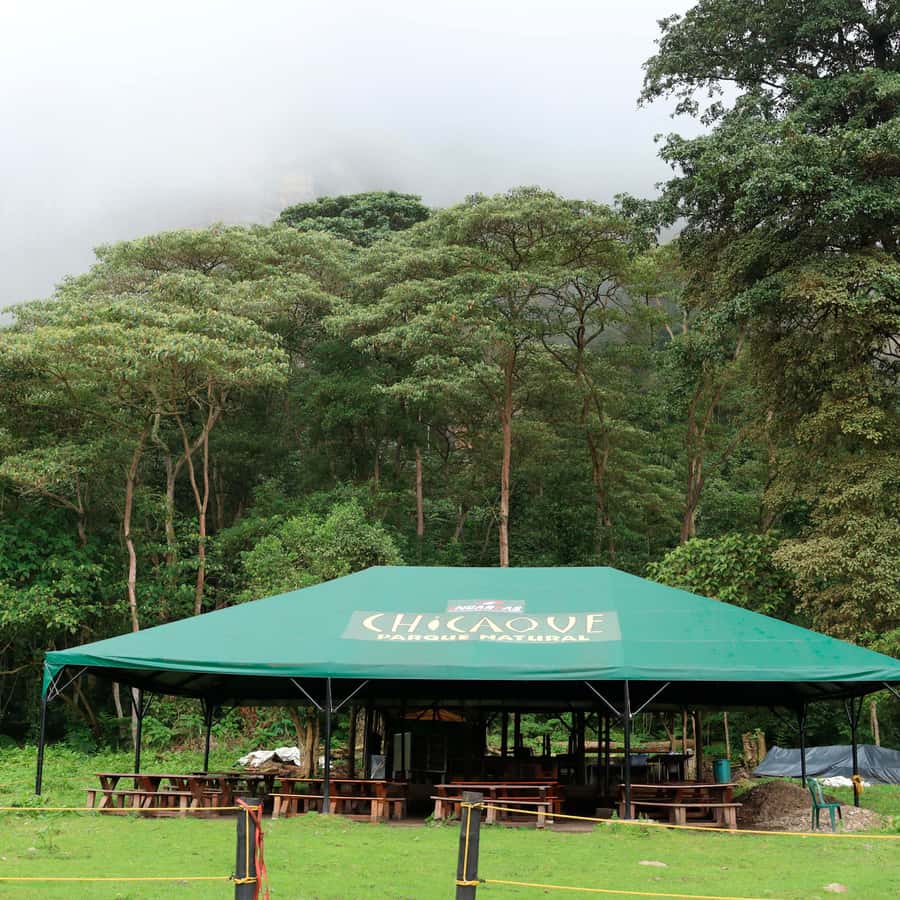 Chicaque Foggy Forest Hike - From Bogotá to Soacha: The Day Begins on the Road