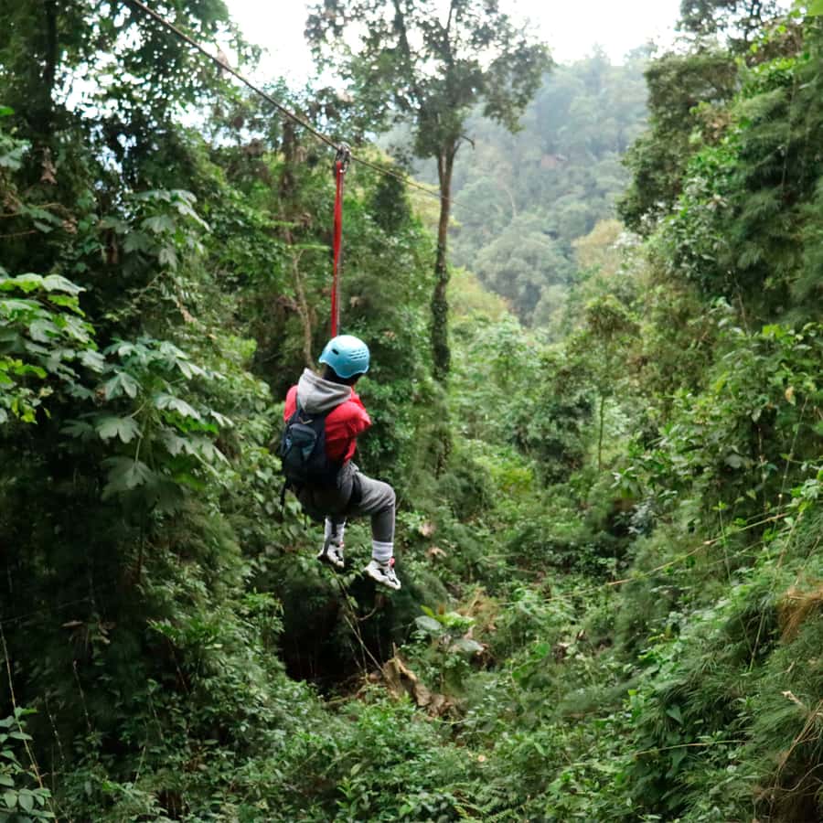 Chicaque Foggy Forest Hike - Choosing Among the Ten Miles of Trails
