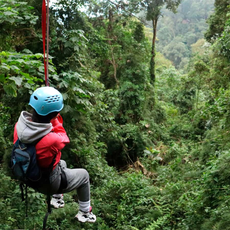 Chicaque Foggy Forest Hike - Birds, Orchids, and Wildlife You May Not See
