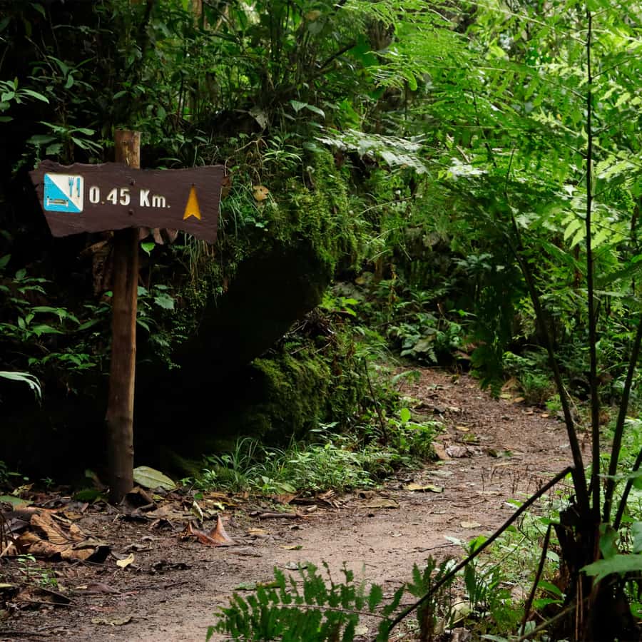 Chicaque Foggy Forest Hike - Entering Chicaque Natural Park