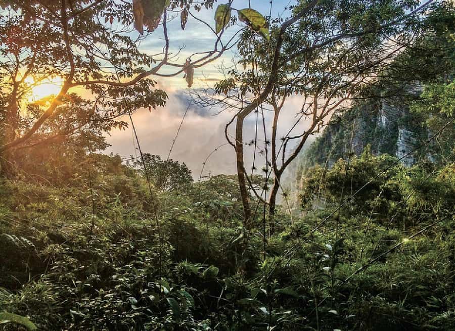 Chicaque Full-Day Trip from Bogotá - Marked trails, independent choices, and one important guide question