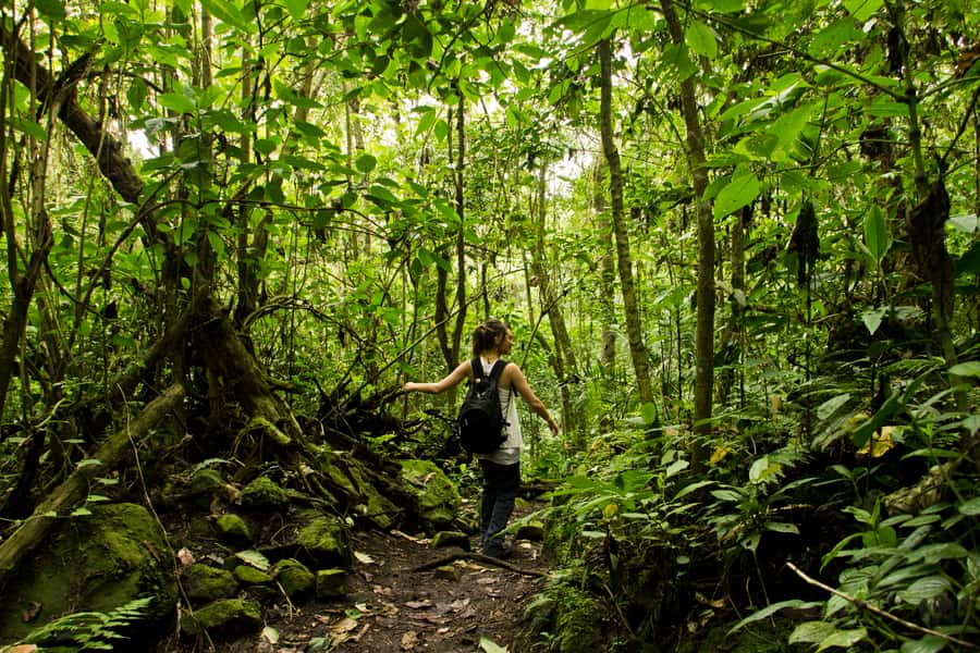 Chicaque Full-Day Trip from Bogotá - Five hours on Chicaque’s forest trails