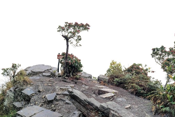 Chicaque National Park - Lunch with a mountain view
