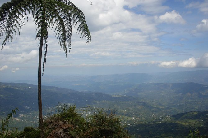 Chicaque Natural Park - Hiking or Birdwatching experience - Key points to know before booking