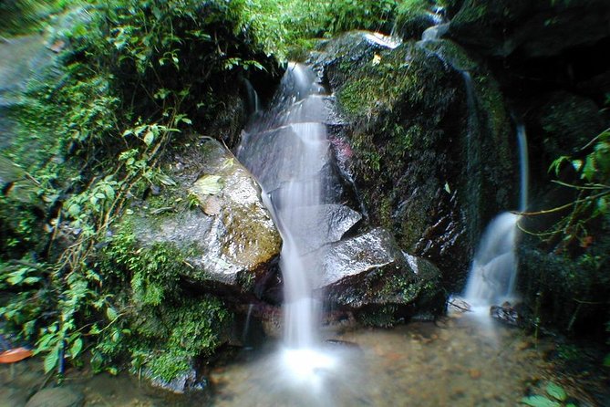 Chicaque Natural Park - Hiking or Birdwatching experience - From Bogotá streets to Chicaque’s cool mountain air