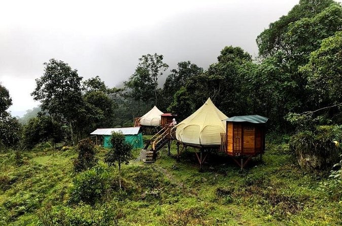 Chicaque Natural Park - Hiking or Birdwatching experience - Choosing private birdwatching instead