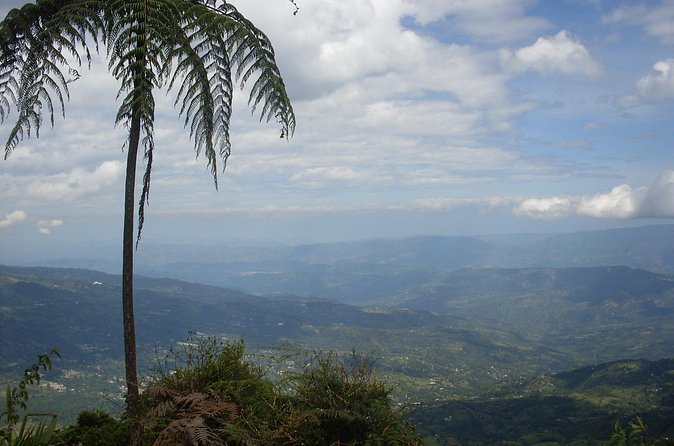 Chicaque Natural Park - Hiking or Birdwatching experience - What the private format changes