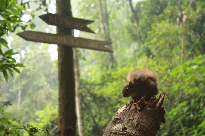 Chicaque Natural Park - Hiking or Birdwatching experience - Lunch and the real value of $164.60