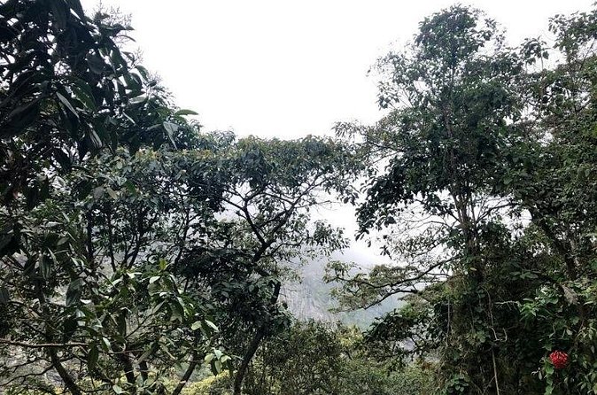 Chicaque Natural Park - Hiking or Birdwatching experience - Who will enjoy this day most