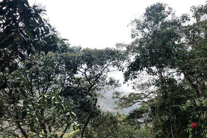 Chicaque Natural Park - Hiking or Birdwatching experience - Choosing the private hike