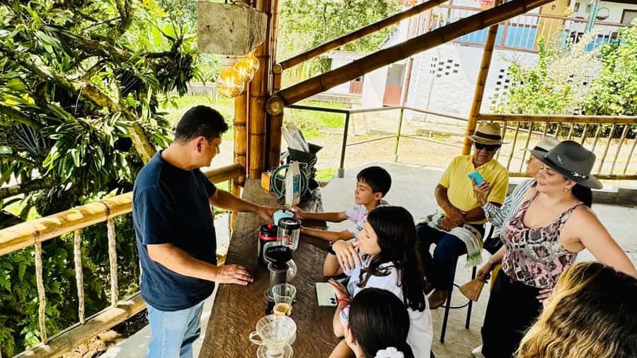 Chinchina, Caldas: The Story behind a cup of coffee in a hacienda - Walking among the coffee crops