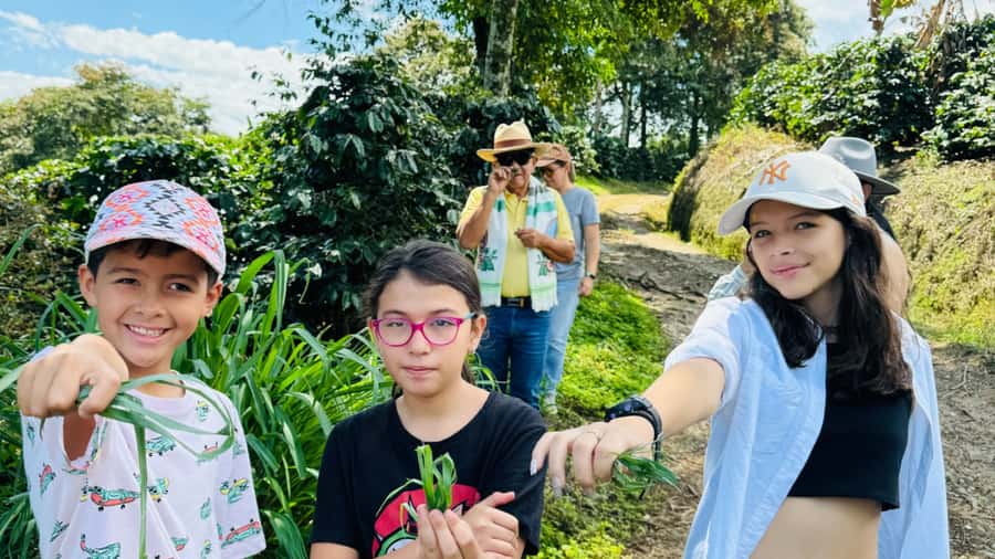 Chinchina, Caldas: The Story behind a cup of coffee in a hacienda - What the $47 price really covers