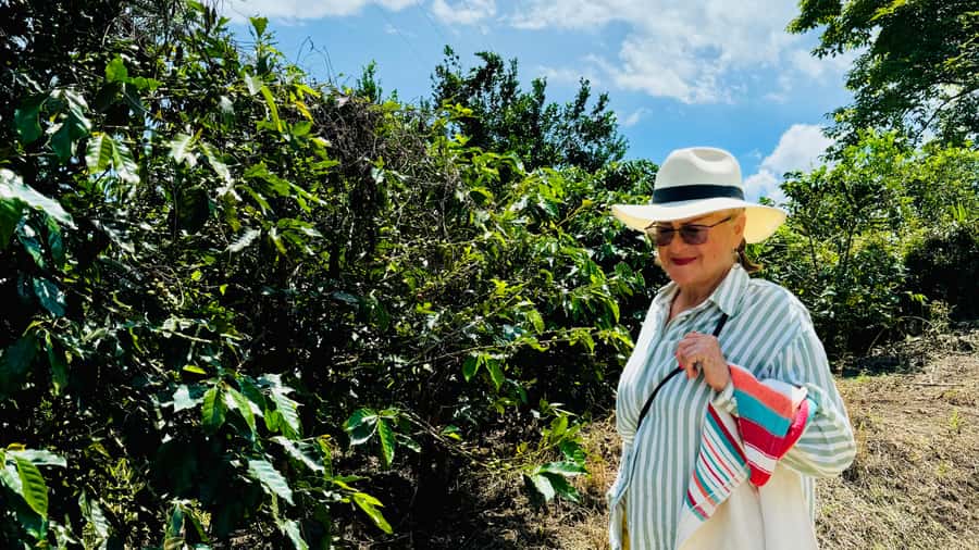 Chinchina, Caldas: The Story behind a cup of coffee in a hacienda - Getting there from the coffee region