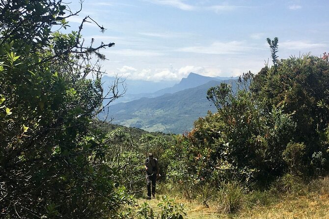 Chingaza National Park Day Tour from Bogotá: Andean Wilderness - Key points before you book