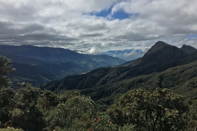 Chingaza National Park Day Tour from Bogotá: Andean Wilderness - How the $465 price holds up