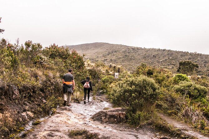Chingaza National Park Day Tour from Bogotá: Andean Wilderness - Who will enjoy this outing most