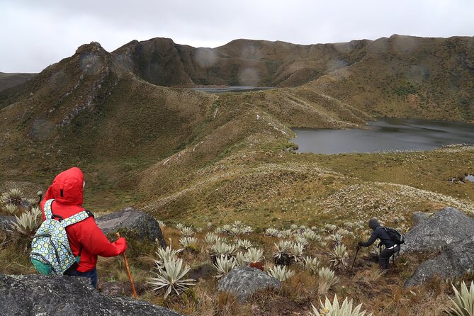 Chingaza Siecha & Cuchillas Lakes Trek - 5 hours - Key points to know before booking