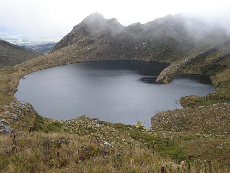 Chingaza: The Mountain of Water - The three-hour walk to Laguna de Buitrago