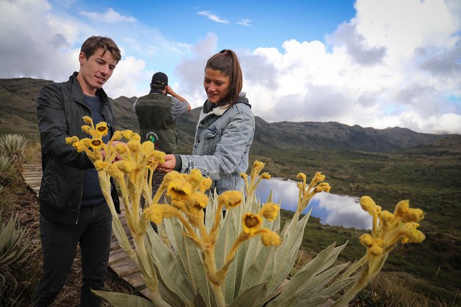 Chingaza Wildlife Páramo Adventure - Who will enjoy this most