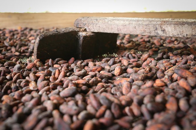 Chocolate & Coffee Farm Experience - Key points to know before booking