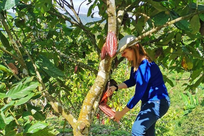 Chocolate Farm Private Tour in Medellin: Real Genuine Experience - Four details that make this chocolate tour special