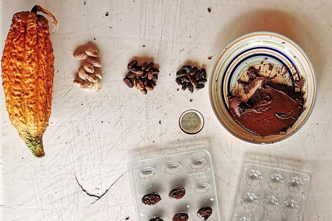 Chocolate Farm Private Tour in Medellin: Real Genuine Experience - Learning the cacao story before you pick