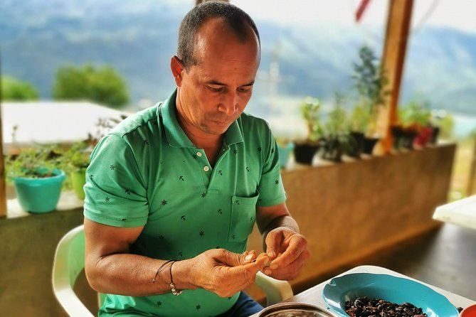 Chocolate Farm Private Tour in Medellin: Real Genuine Experience - Tasting the sweet fruit inside the cacao pod