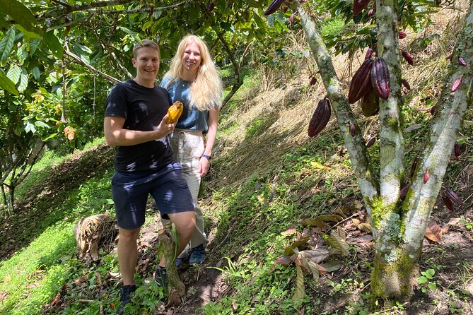 Chocolate tour near Medellin - Picking the Cocoa Pod Yourself
