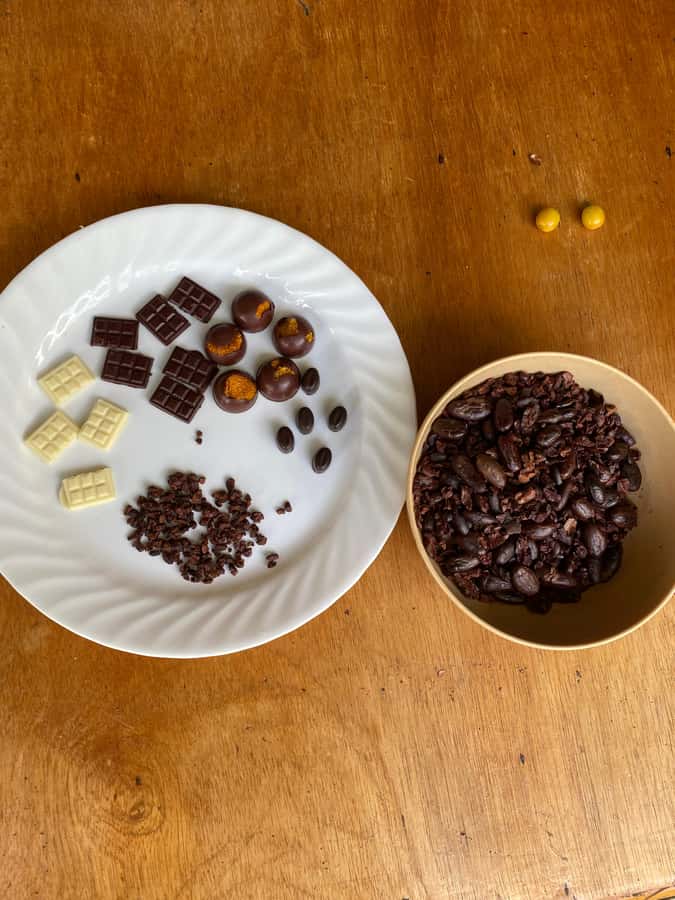 Chocolate tour near the Medellín - Who should choose this chocolate day trip