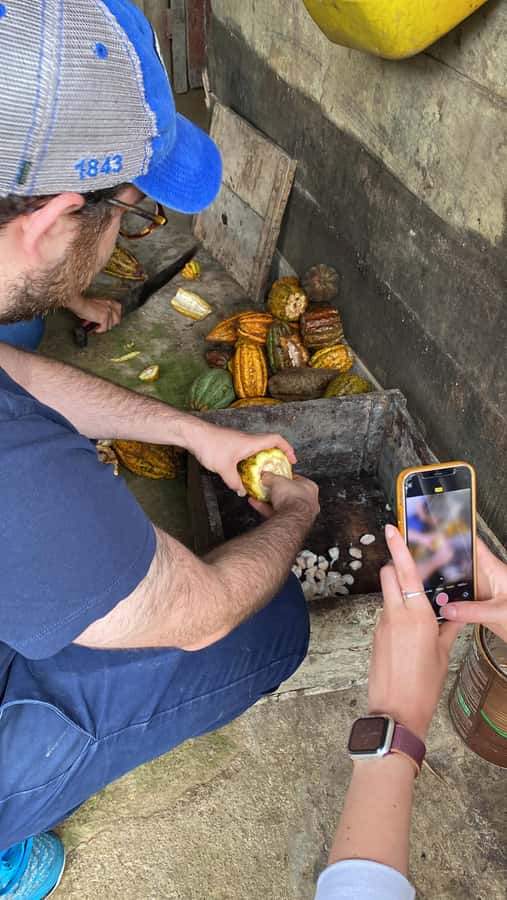Chocolate tour near the Medellín - From Medellín to the cocoa country around Barbosa