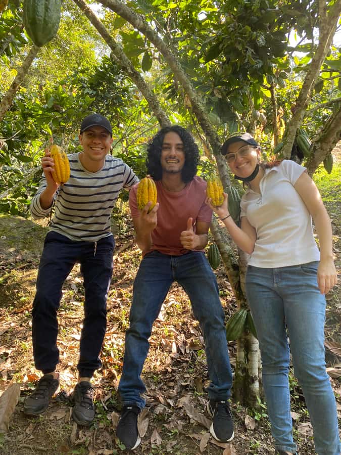 Chocolate tour near the Medellín - Making your own chocolate to take home
