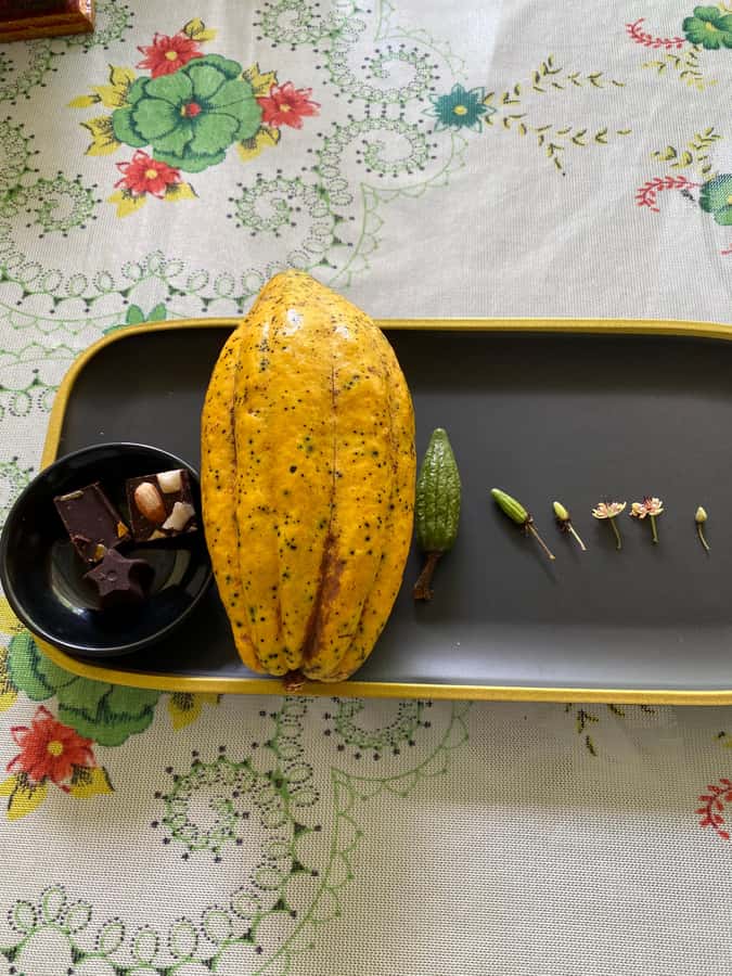 Chocolate tour near the Medellín - Tasting hot chocolate, nibs, paste, and farm fruit