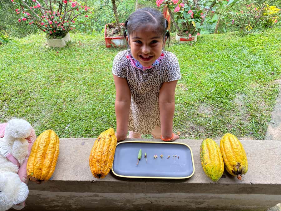 Chocolate tour near the Medellín - What the $126 price includes