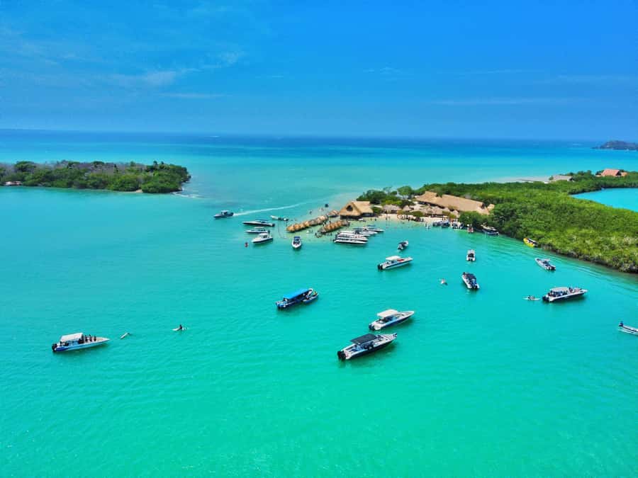 Cholon Forever Boat Party - Key Points Before You Book