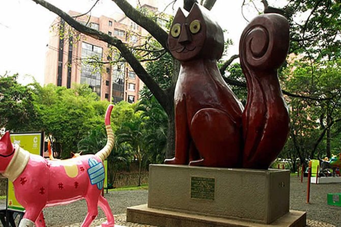 CITY TOUR OF CALI | Discover with local experts Cali - El Gato del Río and Cali’s bird walk