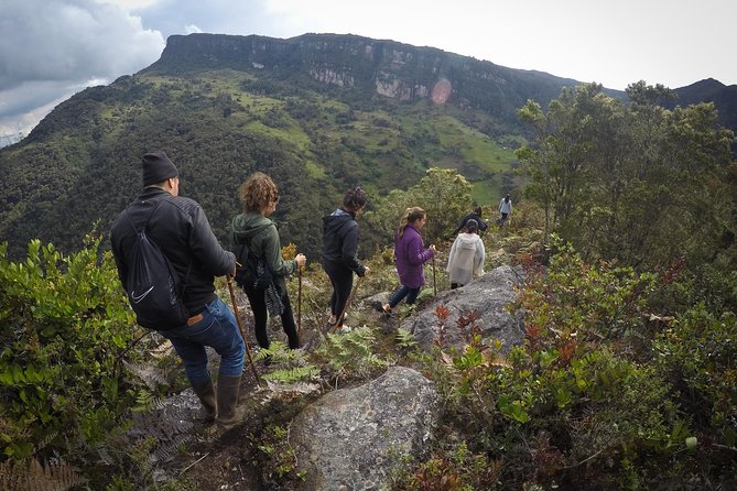 Cloud Forest & Waterfalls Half-Day Hike - Key points to know before you go